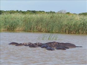 Hluhluwe River